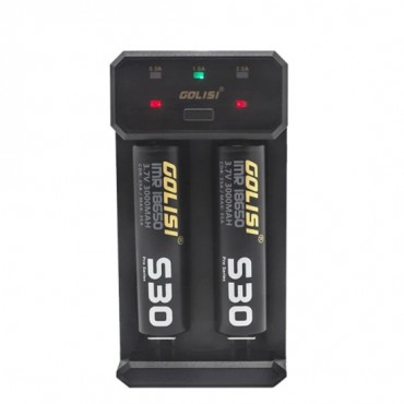 GOLISI NEEDLE L2 BATTERY CHARGER
