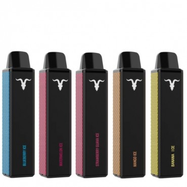 IGNITE V600 DISPOSABLE VAPE KIT 600 PUFFS